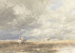 ヘイフィールドに行く 作： David Cox